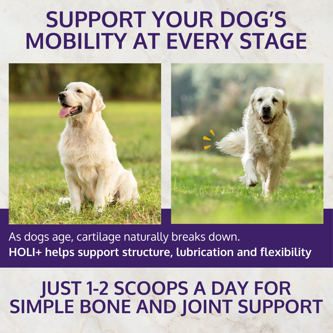 HOLI+ Collagen for Dogs