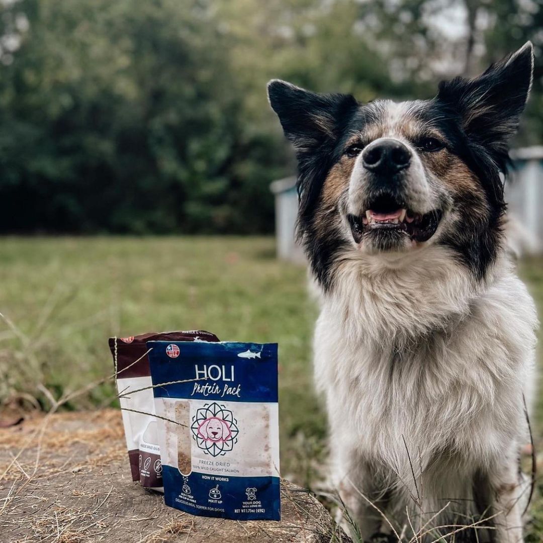 Elk & Venison Dog Treats